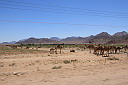img_8271.jpg