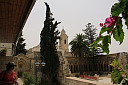 img_8526.jpg