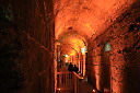 img_8887.jpg