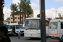 img_8946.jpg