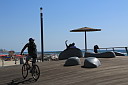 img_9585.jpg