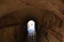 img_9780.jpg