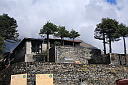img_3950.jpg