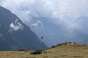 img_3967.jpg