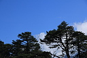 img_3979.jpg
