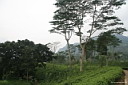 4img_7744.jpg