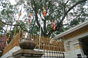 5img_6853.jpg