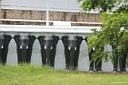 5img_6869.jpg