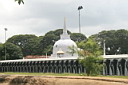 5img_6870.jpg