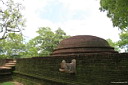 6img_7276.jpg
