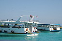 1img_8149.jpg