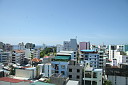 1img_8180.jpg