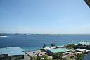 1img_8184.jpg