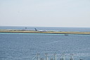 1img_8215.jpg