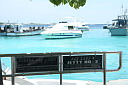 1img_8282.jpg