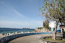 1img_8376.jpg