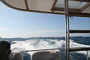 3img_8523.jpg