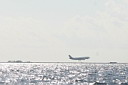 3img_8533.jpg