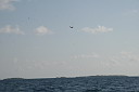 3img_8540.jpg