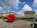 img_1252.jpg