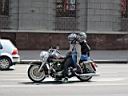 img_1286.jpg