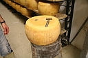 img_6247.jpg
