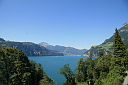 img_7131.jpg