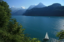 img_7161.jpg
