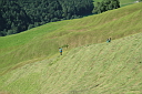 img_7193.jpg
