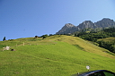 img_7194.jpg