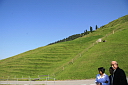 img_7211.jpg