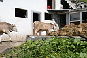 img_7218.jpg
