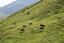 img_7262.jpg