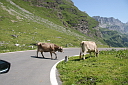img_7279.jpg