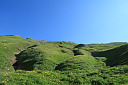 img_7287.jpg