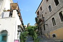 img_4294.jpg