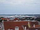 img_2172.jpg