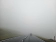 20220902_130850.jpg