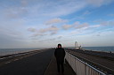 14-img_2646.jpg