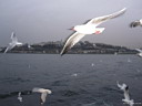 img_0688.jpg