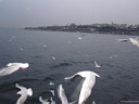 img_0692.jpg