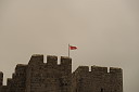 img_7113.jpg