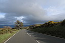 img_7345.jpg