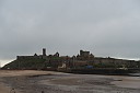 img_7449.jpg