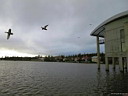 img_1549.jpg