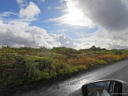 img_1735.jpg