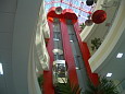 imgp0091.jpg
