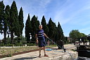 1img_7396.jpg