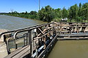 1img_7763.jpg