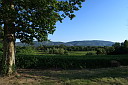 1img_7998.jpg